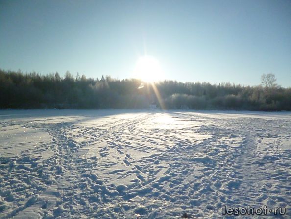 P1000084.JPG