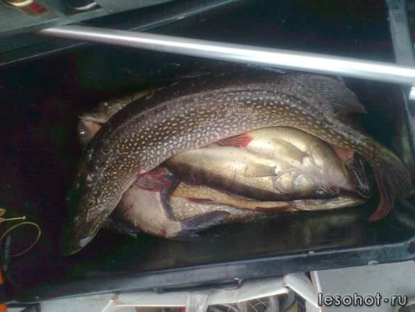 ��� ���� 11-13����.2013�. (5).jpg