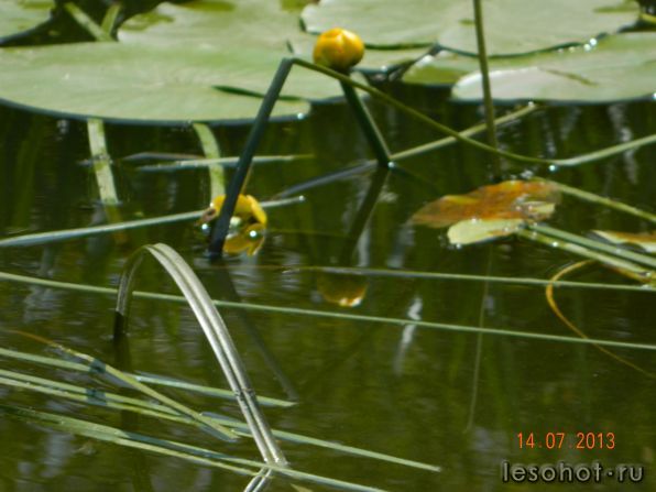 DSCN1642.JPG