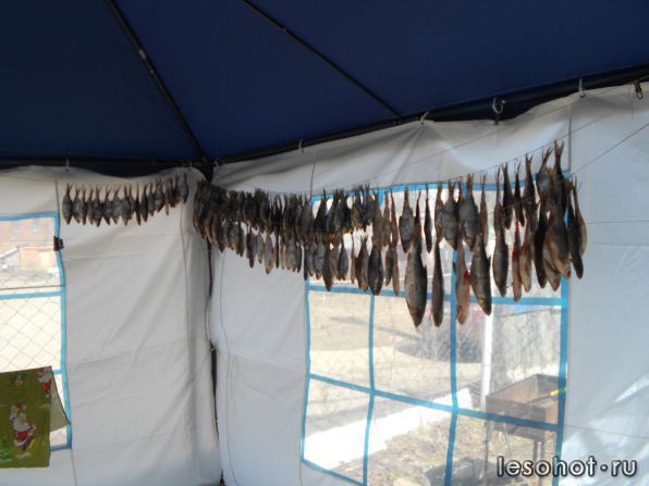 DSCN1611.jpg