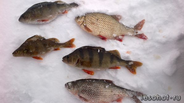 07042012007.jpg