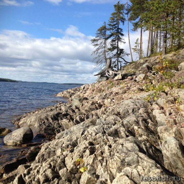 photo_00092.jpg