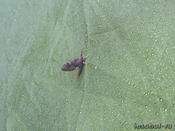 20170823_060342.jpg