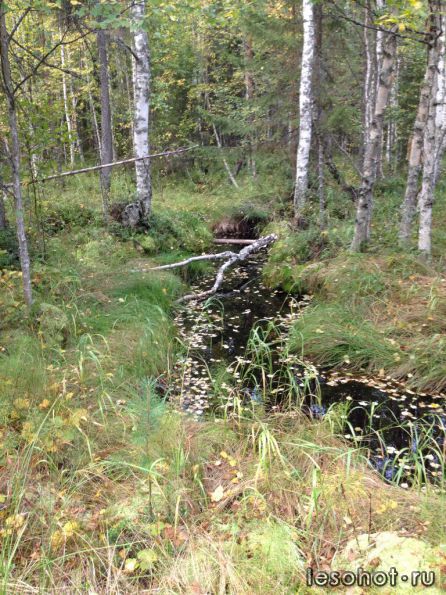 photo_00289.jpg