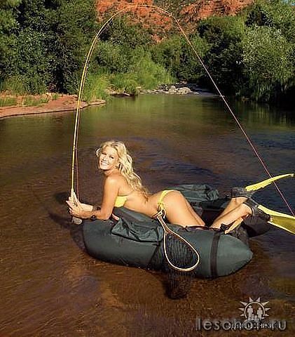getImage (40).jpg