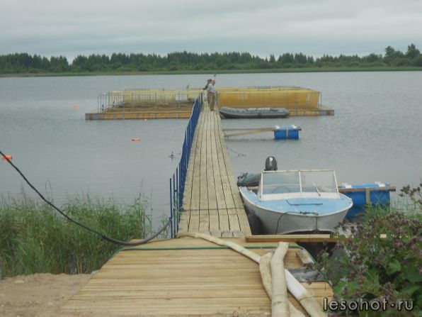 DSCN3390.JPG