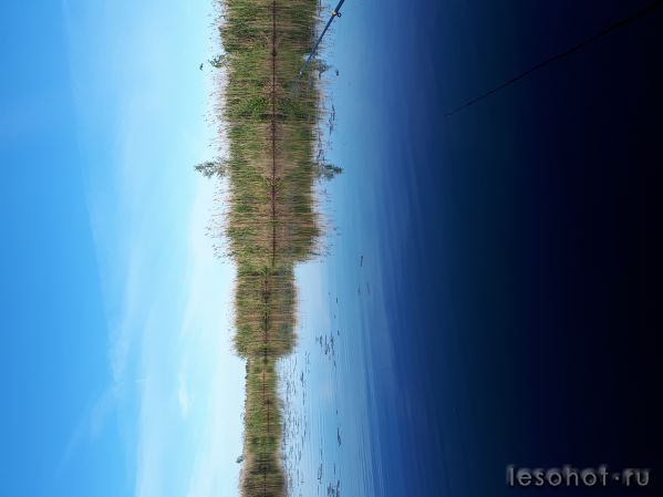 20180614_062057.jpg