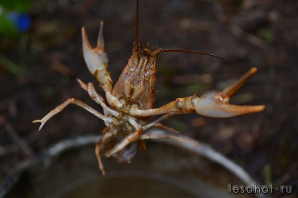 DSC_2769.JPG