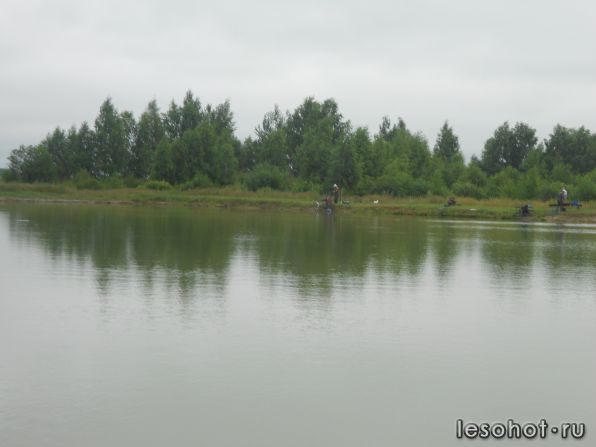 DSCN3450.JPG