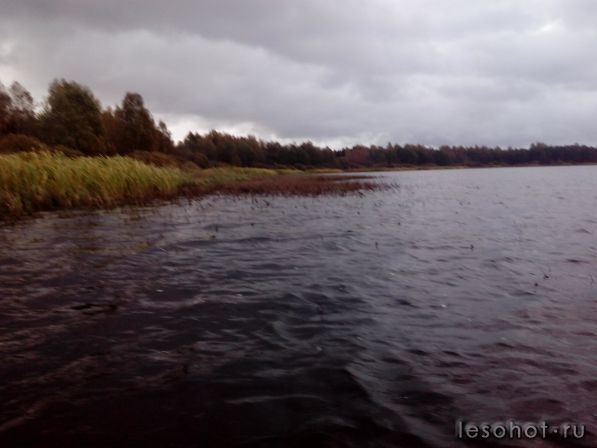 2015-10-02 06.47.50.jpg