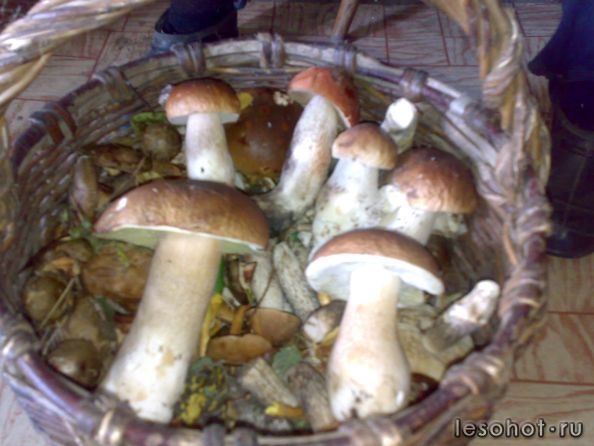 10092010353.jpg