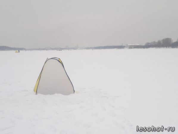 2013-01-19-1081.jpg