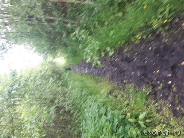 20180613_174528.jpg