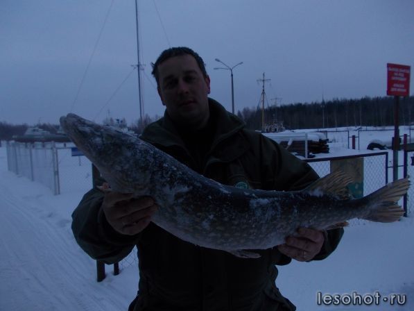 DSCN4151.jpg