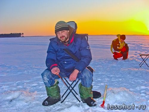 ��� ������ ������� �� ����� -25