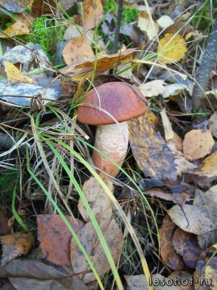 100_5548.JPG