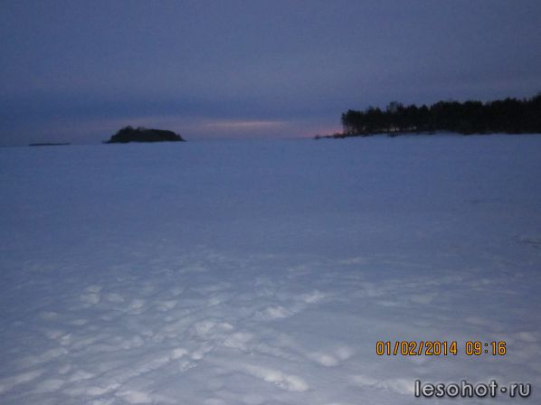   2014 028.jpg