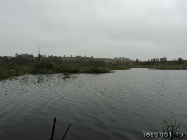 DSC01466.JPG