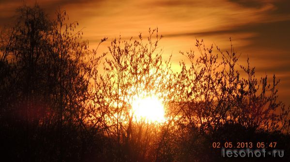 DSCN0253.JPG