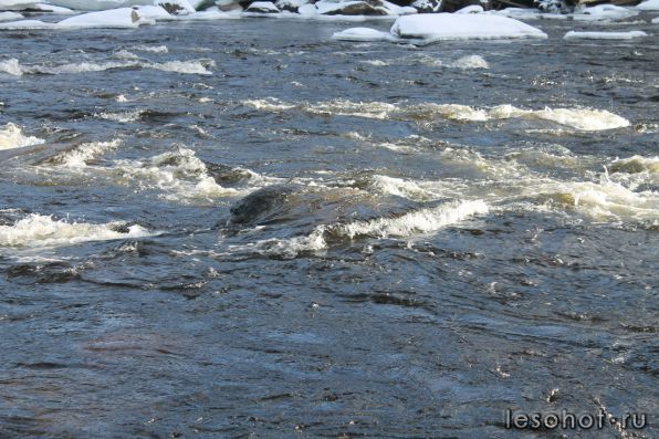photo_00375.jpg