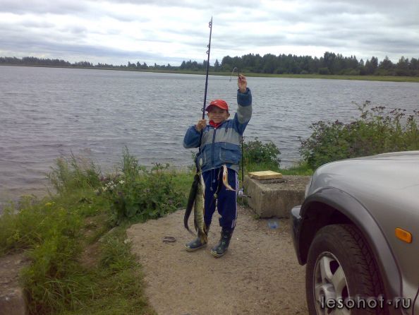 ����� �������...