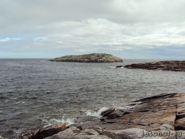 DSC02045.JPG
