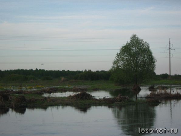IMG_6057.JPG