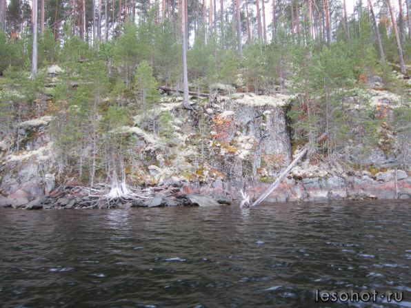 photo_00085.jpg