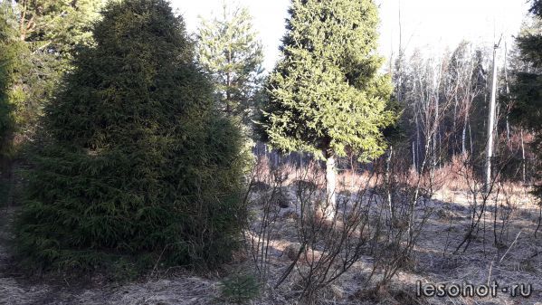 20180428_062708.jpg