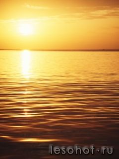 Sunset.jpg