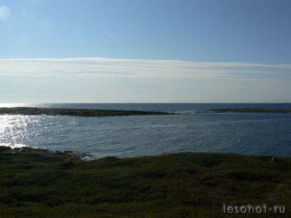 P1000688.JPG