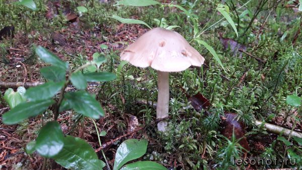 20180713_064341.jpg
