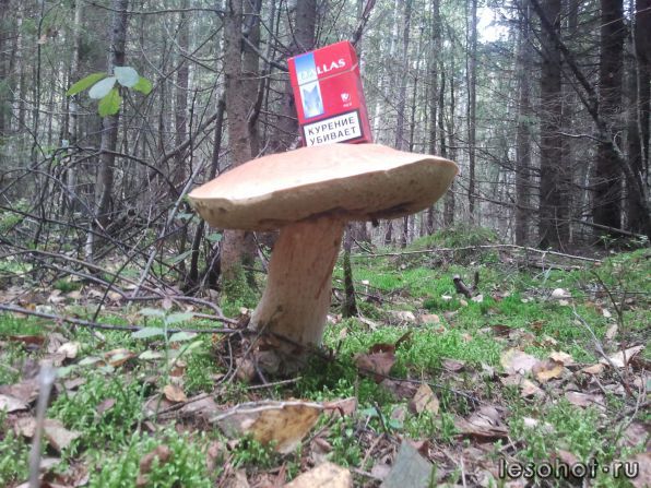 2012-08-31 15.00.31.jpg
