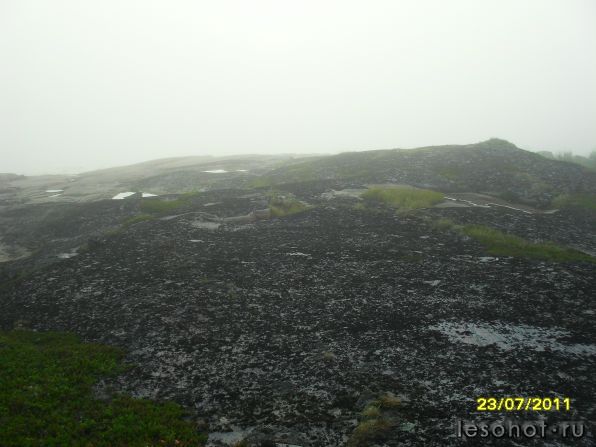 SDC12021.JPG