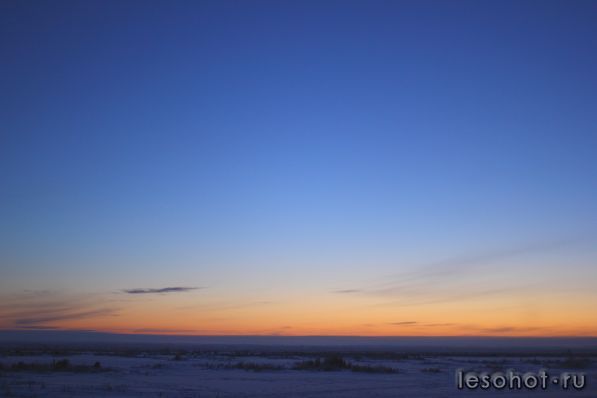IMG_1181.JPG
