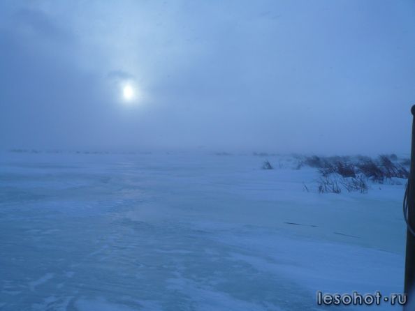 P1020329.JPG