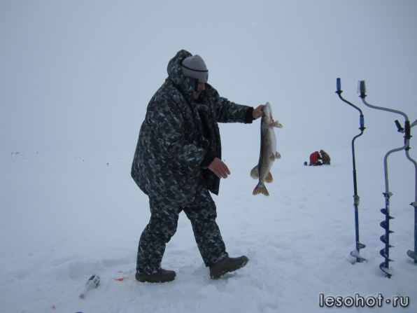 IMG_2748.jpg