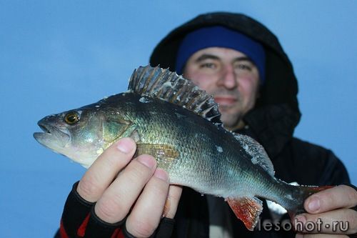 0_95f03_4c727750_L.jpg