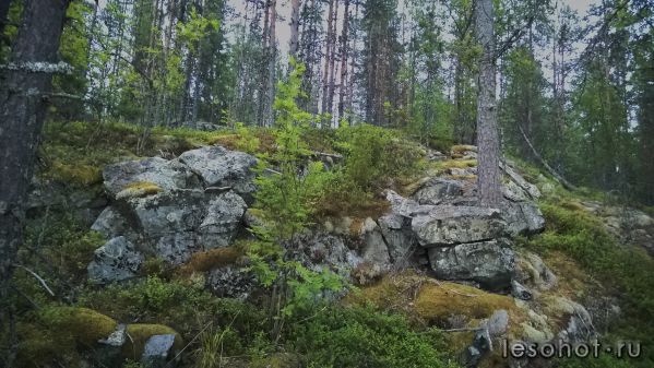 WP_20150708_017.jpg