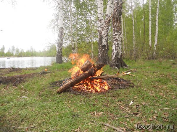 DSCN3029.JPG
