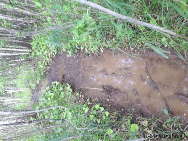 20180613_171944.jpg