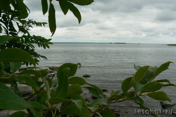P1070333.JPG