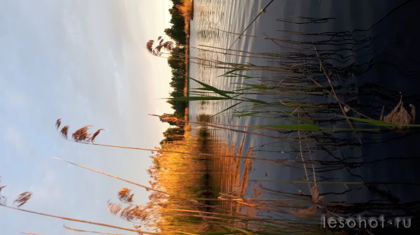 20180527_040855.jpg