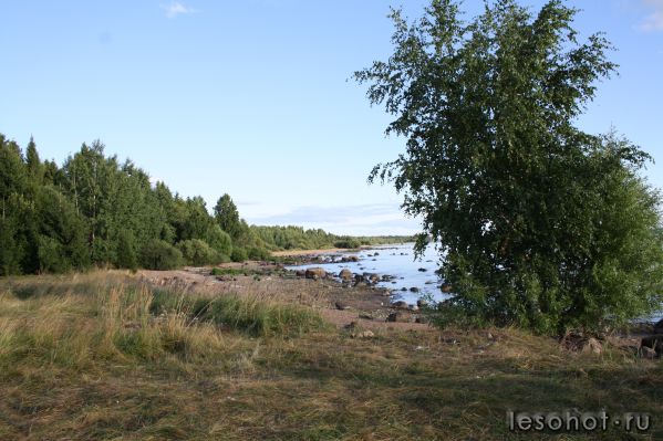 IMG_3481.JPG