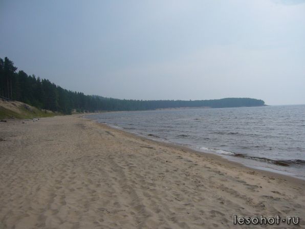 z_bf332826.jpg