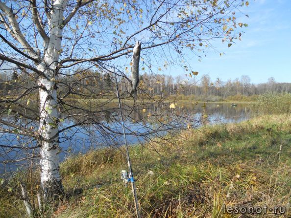 Осенний натюрморт. Уводь.