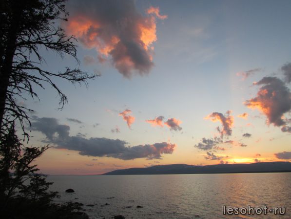 IMG_0601.JPG