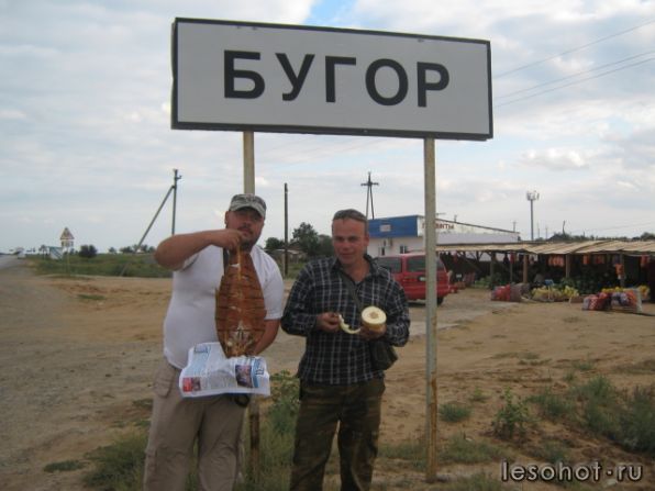  915.jpg