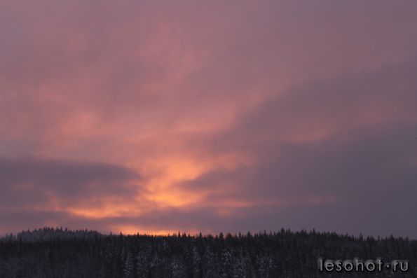IMG_8912.JPG