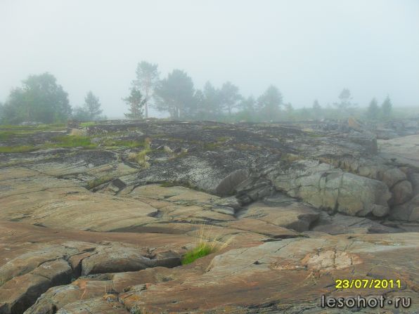 SDC12022.JPG